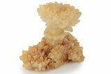 Fascinating Cave Calcite Mushroom Stalactite - Wenshan Mine #223546-5